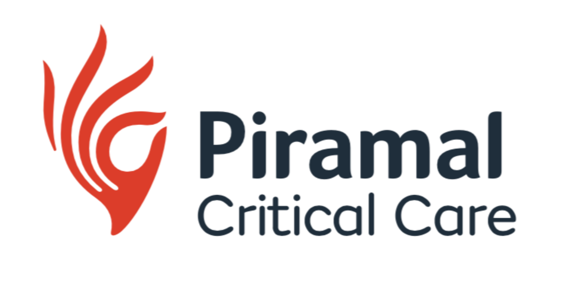 Piramal Critical Care